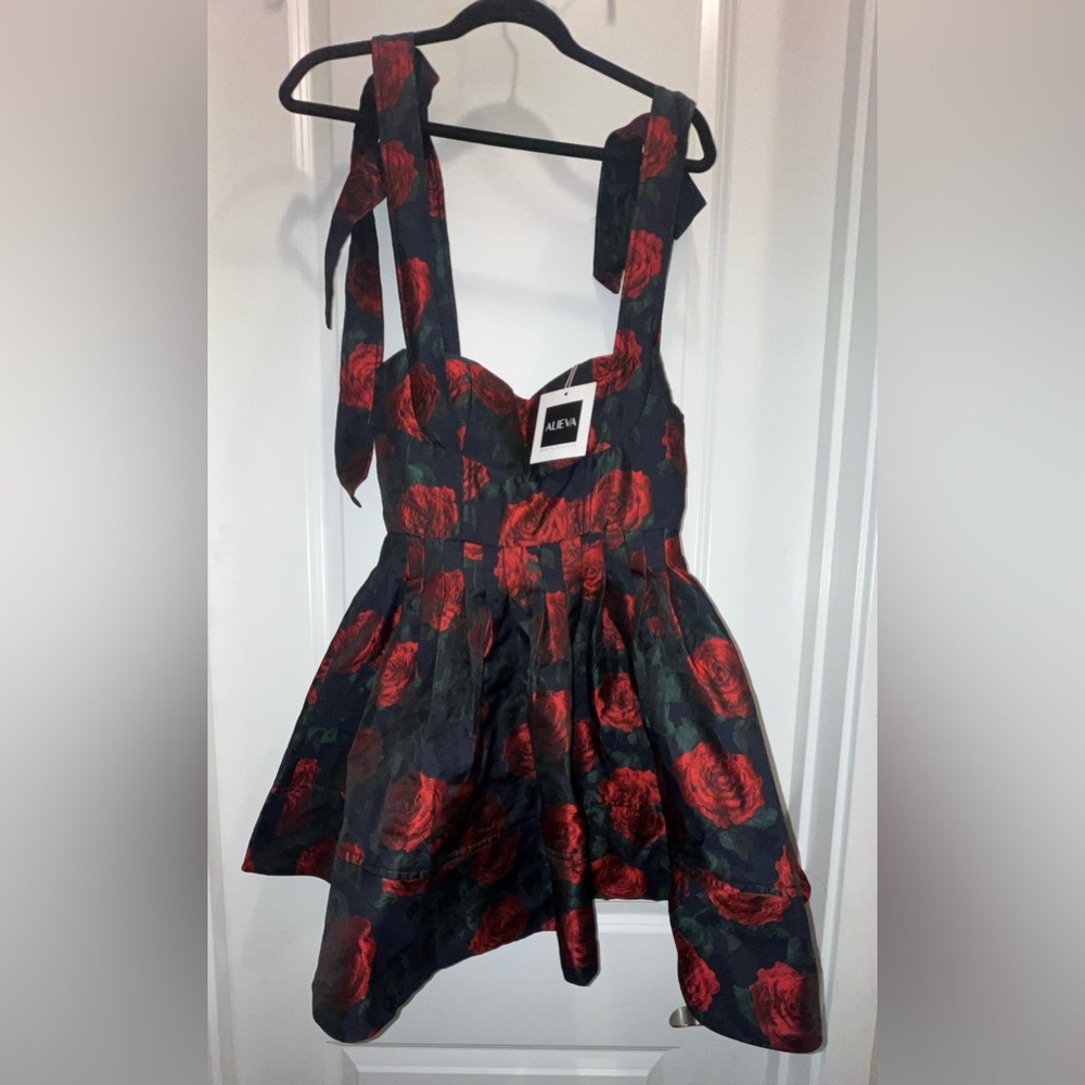 NWT Alieva Janequa Rose Corset Mini Dress - Picture 3 of 6